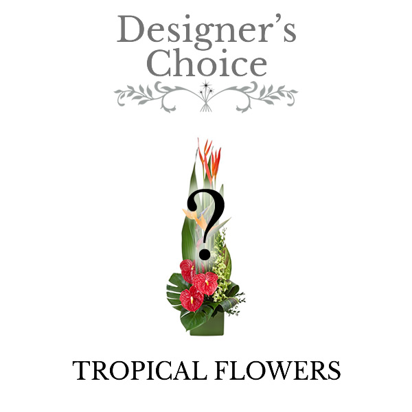 Designers Choice Tropicals
